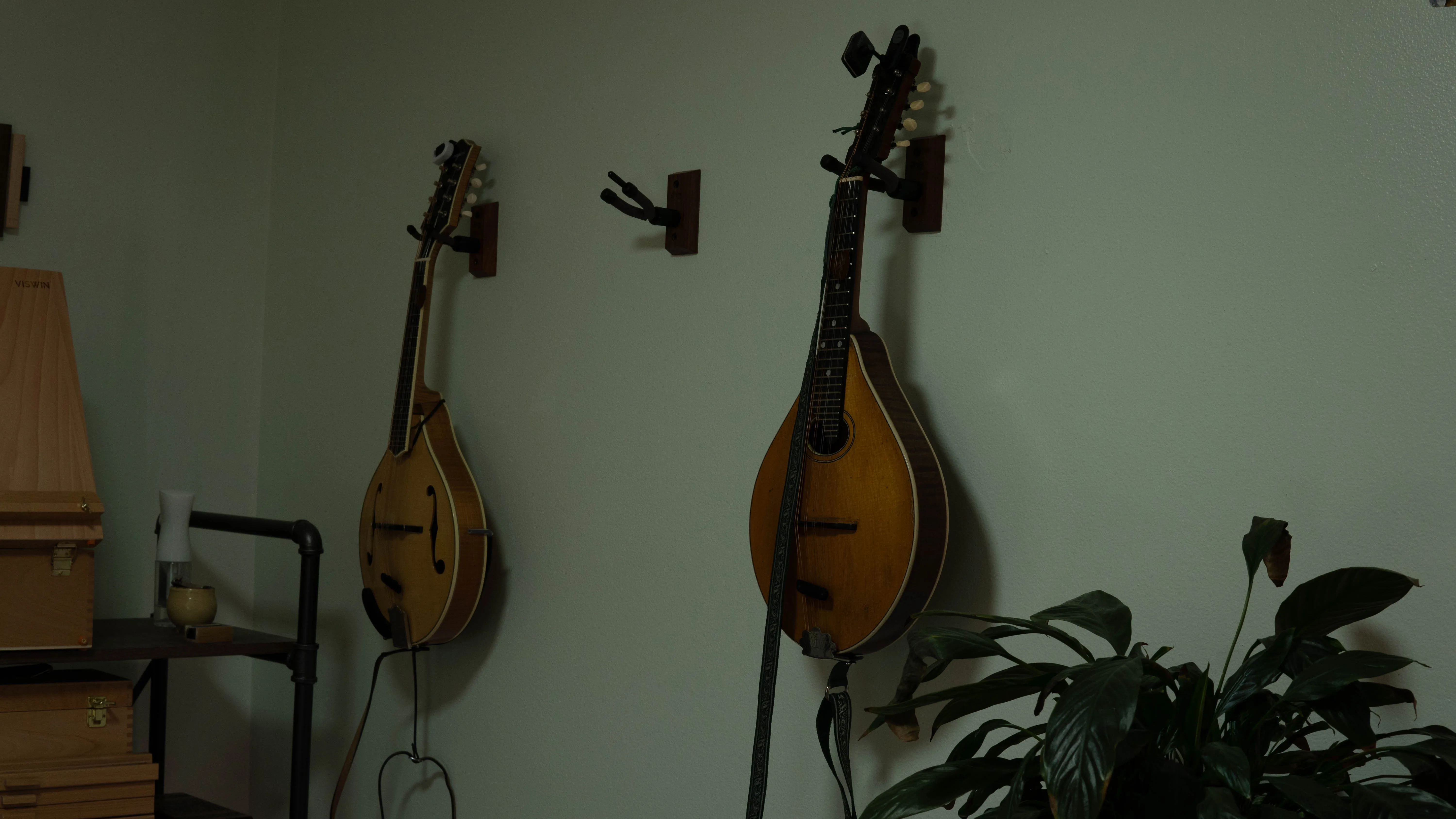 FolkFirebrand gallery photo